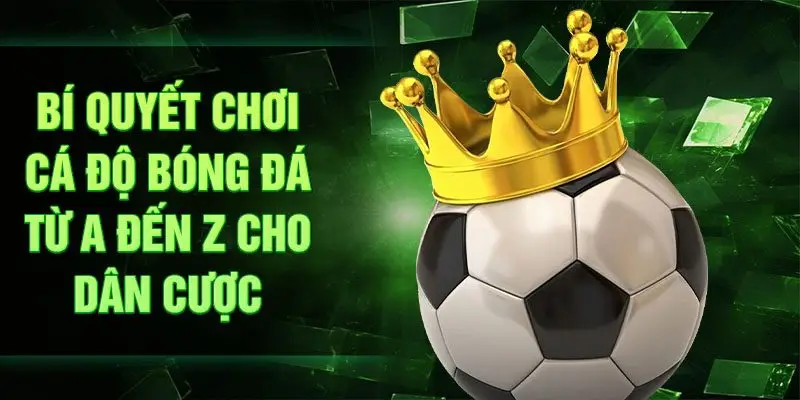 Bí quyết chơi cá độ bóng đá từ A đến Z cho dân cược