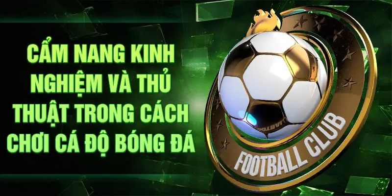 Cẩm nang kinh nghiệm và thủ thuật trong cách chơi cá độ bóng đá