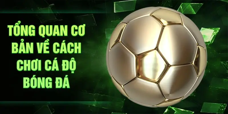 Tổng quan cơ bản về cách chơi cá độ bóng đá